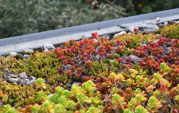 the cost of Romford green roof installation