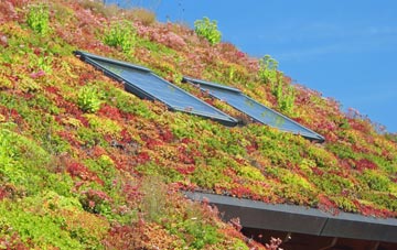 Romford living roof systems